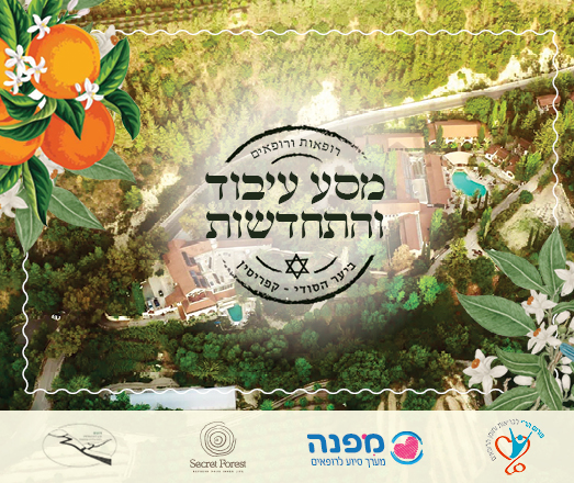 מסע עיבוד והתחדשות  בעקבות אירועי המלחמה | היער הסודי בקפריסין